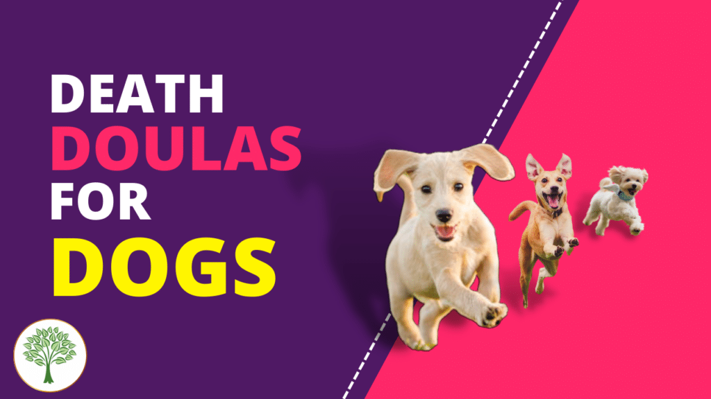 DOGS
