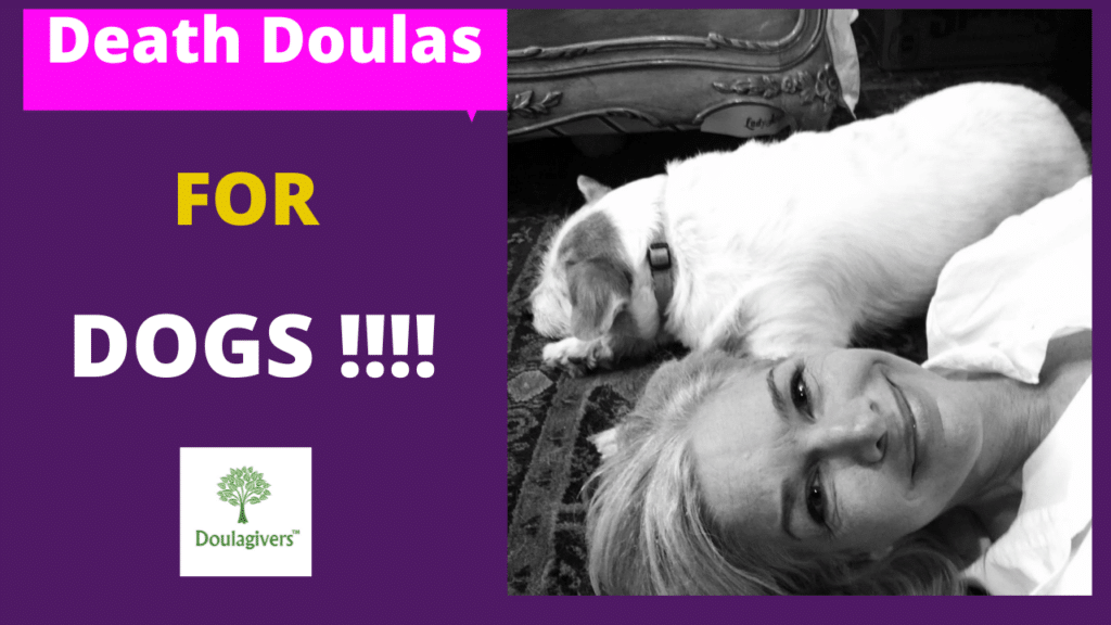Death Doulas for Dogs